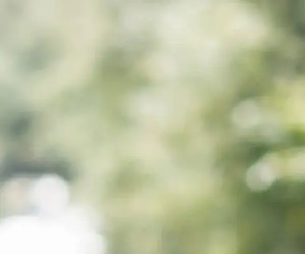 Autoschade header