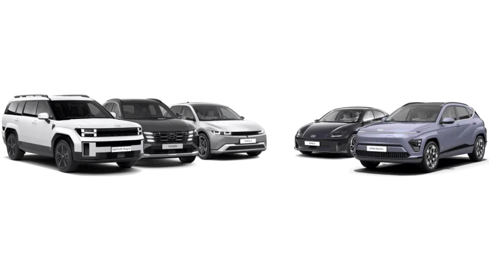 Bluelink modellen vanaf 2024