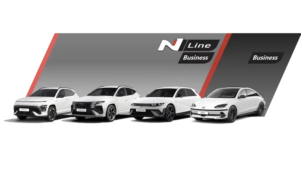 Hyundai Business Editions Hero