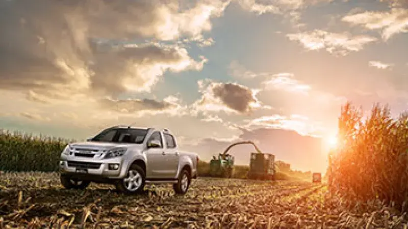 ISUZU dmax home